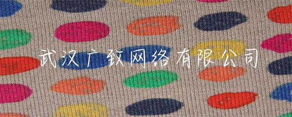 武漢廣致網絡 專業賦能，打造卓越的企業網站建設解決方案
